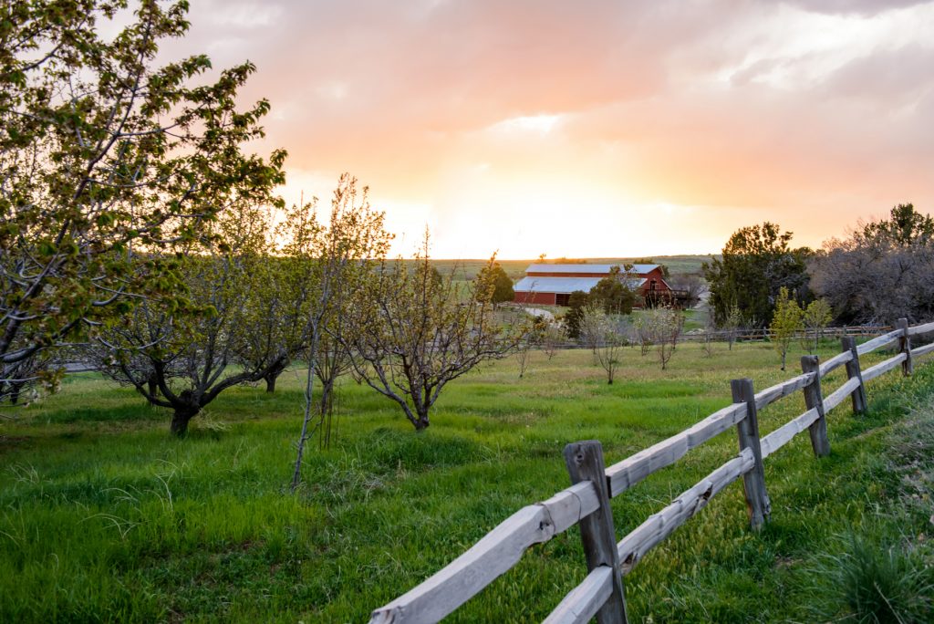 Clear Creek Ranch | Group and Family Reunion Guest Ranch
